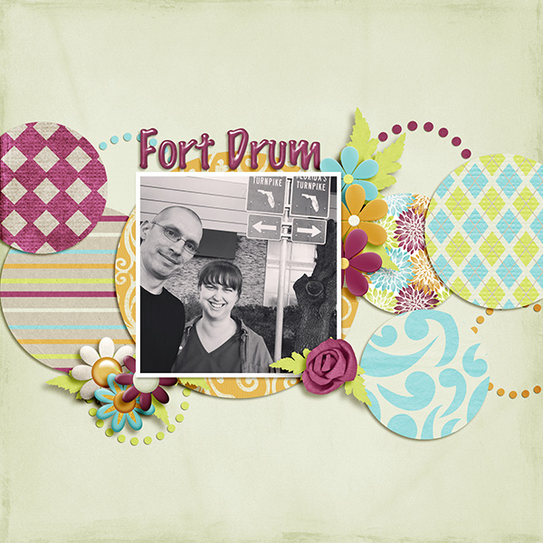 2014-11-23 fort drum web